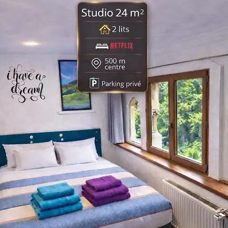 Premium Cosy Classe 24m2, 2 Lits, Proche Centre, Netflix, Climatisation, Parking Prive Apartment Albertville